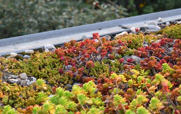 the cost of Biggin green roof installation