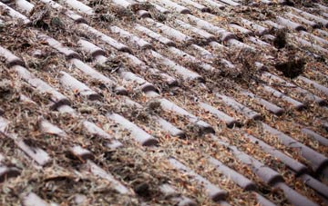 Biggin roof cleaning companies