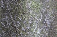 Biggin fibreglass roof work